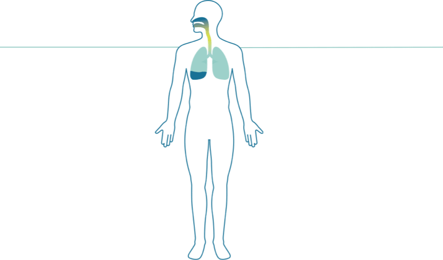 full body lung view