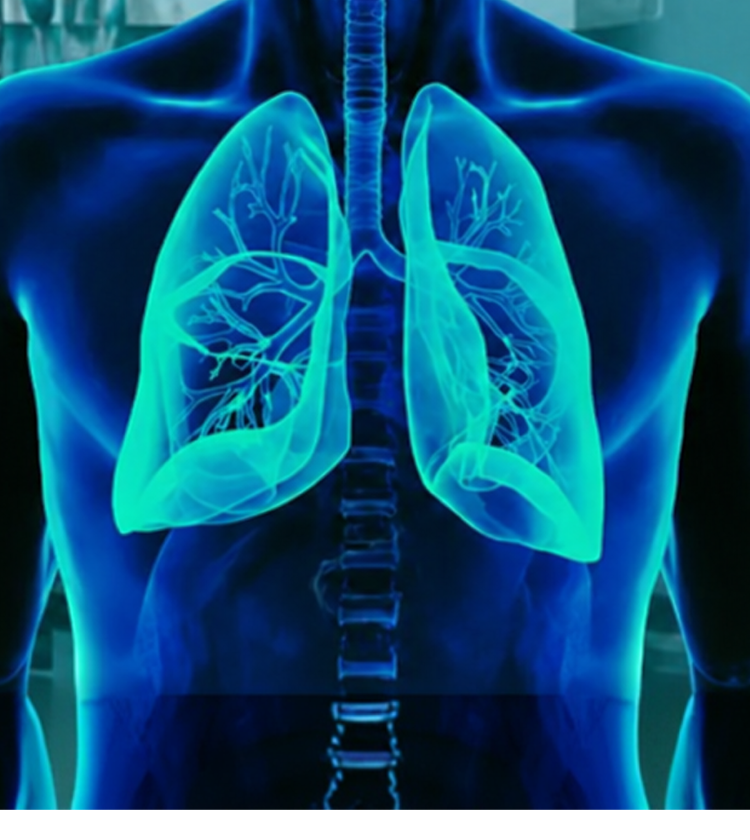 Imagen de un cuerpo humano azul en el que se resaltan los pulmones