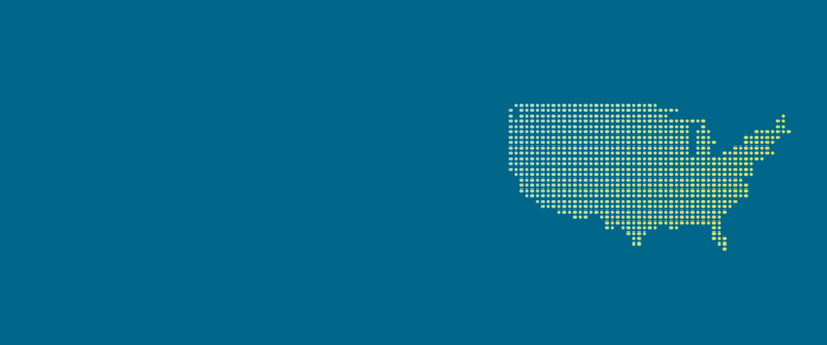 Imagen pixelada de los Estados Unidos